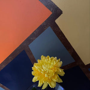 Meet your Posher, Tee